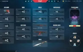 Conta Com Varias Skins E Faca (Todos Os Agentes)