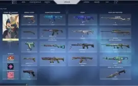 Conta de Valorant (5 facas, 2 skins de Vandal...)