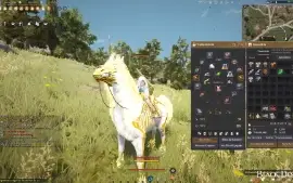 Shai Lifeskill - Barato