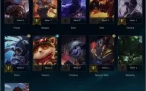 CONTA GOLD 1 SOLO DUO