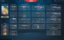 Conta Valorant Muitas Skins