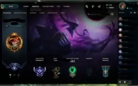 Conta League of Legends 330 SKINS Diamante