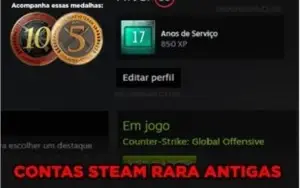 Steam 17 Anos CSGO C/ Medalhas de 5e10 Anos