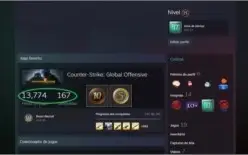 Steam 17 Anos CSGO C/ Medalhas de 5e10 Anos