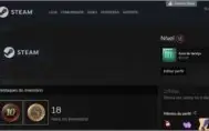 Steam 17 Anos CSGO C/ Medalhas de 5e10 Anos