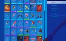Conta Fortnite com mais de 200 skins tryhard
