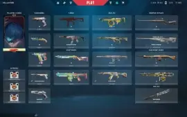 Conta ascendente com diversas skins