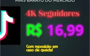 500 Seguidores Tik Tok por R$ 3,99 ! Entrega Rápida e Segura