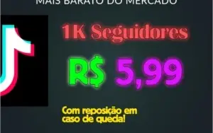 500 Seguidores Tik Tok por R$ 3,99 ! Entrega Rápida e Segura