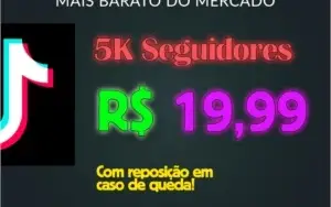 500 Seguidores Tik Tok por R$ 3,99 ! Entrega Rápida e Segura