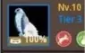 WIZZARD 269/320 KUTUM BDO SA