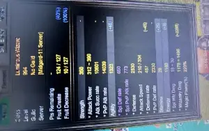 Mu Online White Wizard account 995 lv midgard