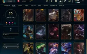 Ferro 2 com 80 Champs e 30 Skins
