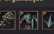 Wizard 62 e varios chars 60 GEAR Para começar Fada T4 POT V