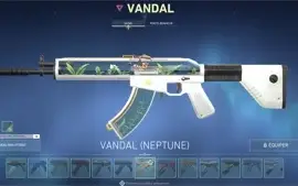 Conta valorant com muitas skins radiant