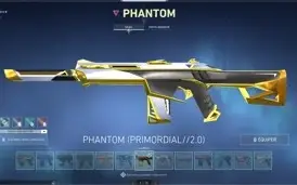 Conta valorant com muitas skins radiant