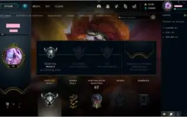Conta League of Legends Smurf com RP,Skins e Passe !