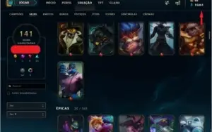 141 Skins, todos campeões e 15k de EA.
