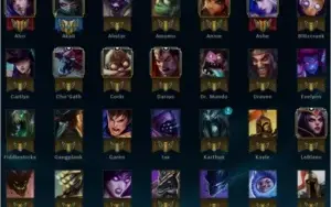 Conta Prata 4 SoloDuo - Flex Bronze 5