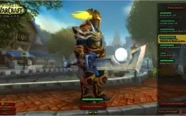 Vendo meu tempo investido no WOW