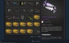 Conta Steam Com Skins E Com Trade Ban!