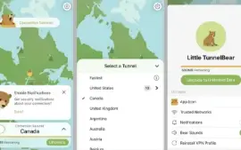 Conta Tunnelbear VPN Premium Vitalícia