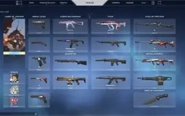 Conta barata Platina 2 58 pontos full acesso MMR MUITO ALTO