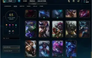 Conta League of Legends lvl 60 66 champs e 65 skins