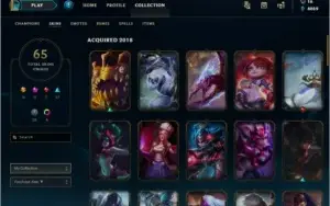 Conta League of Legends lvl 60 66 champs e 65 skins
