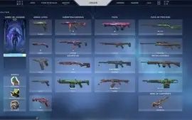 CONTA VALORANT - VANDAL ANCIFOG0, KARAMBIT SAQUEADOR, LEQUE+