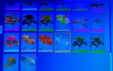 CONTA FORTNITE SEASON 2, 3/  4 5 6 7 8 FULL