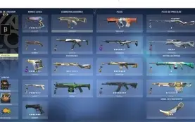 CONTA VALORANT DIVERSAS SKINS KARAMBIT SUBLIME,VANDAL RGX +