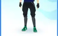 Pokemon GO account| LVL 21 | VARIOS RAROS | NON-BOTTED!