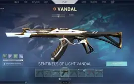 Conta valorant Ascendente 800,00 gastos