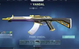 Conta valorant Ascendente 800,00 gastos