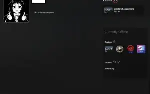 502 jogos, Nível 13 steam, Com infos de criação