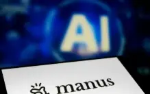 Plano Manus 1.6 Max ( 10 DIAS)