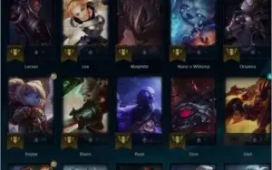CONTA MESTRE MMR GM LV 60 400 REAIS