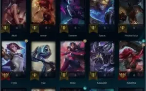 CONTA MESTRE MMR GM LV 60 400 REAIS