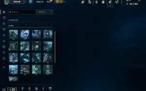 Mestre com 30 Champs e 2 Skins + 17 Fragmentos