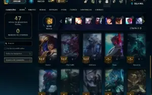 Mestre com 30 Champs e 2 Skins + 17 Fragmentos