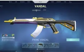 Vendo Conta de valorant com apenas as skins que pegam