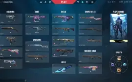 Conta Valorant com skins boas preço de banana pra sair logo