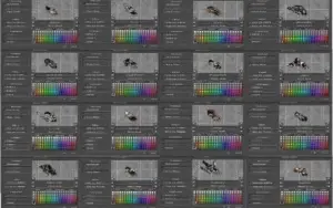 Vendo RP 300+