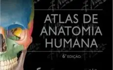 Netter Atlas De Anatomia Humana 6ª edição português.