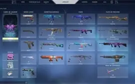 Conta Valorant Várias Skins, Super barato.