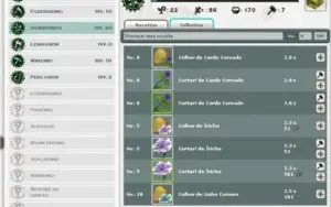 Conta WAKFU servidor EFRIM com sets, itens e bastante kamas