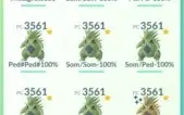 Conta pokemon go nivel 40