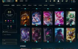Unranked com 90 Champs e 85 Skins