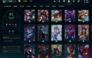 Unranked com 90 Champs e 85 Skins